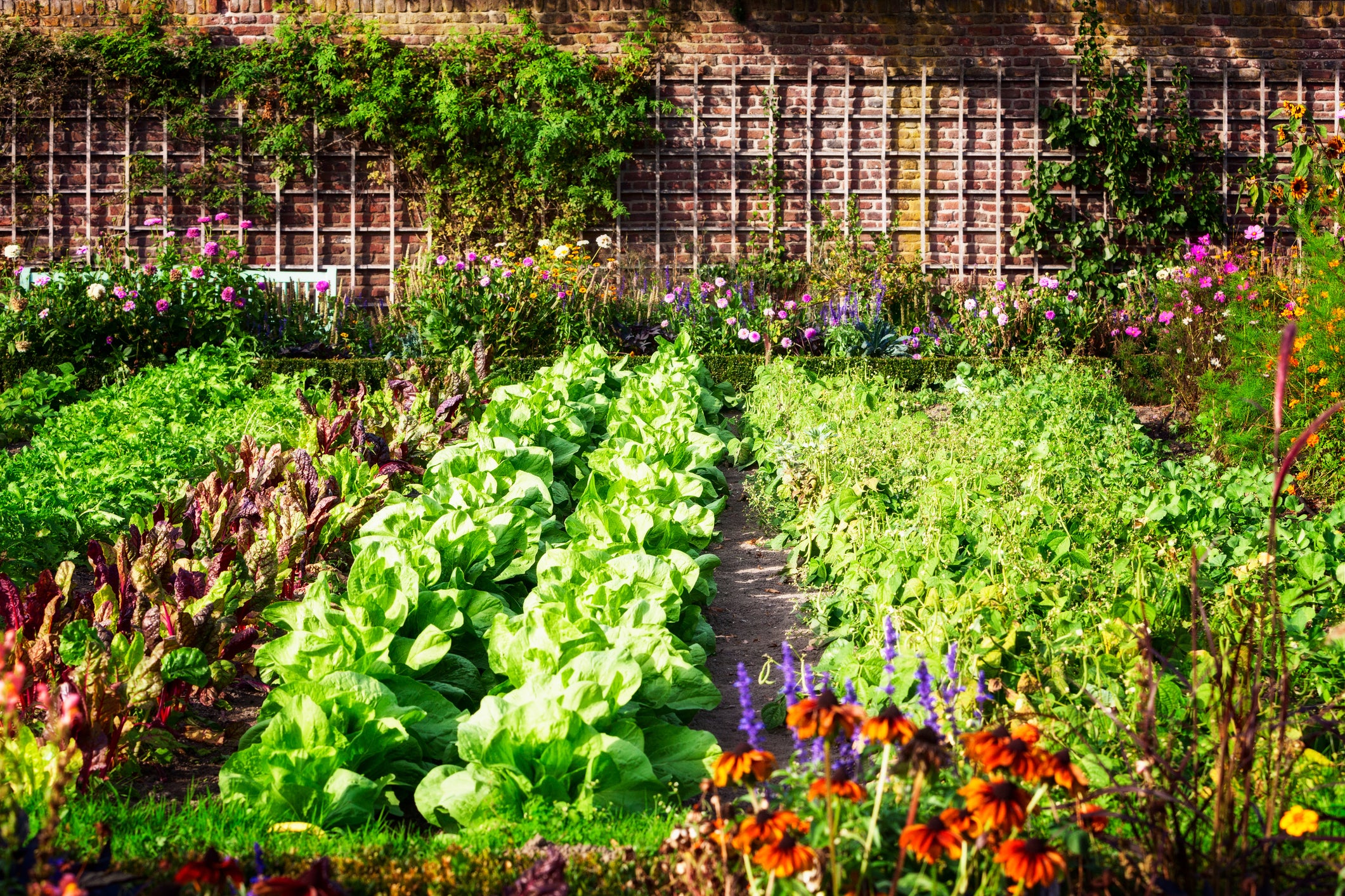 Edible Landscaping: Reap the Rewards – Al's Garden \u0026 Home, image size:2121x1414