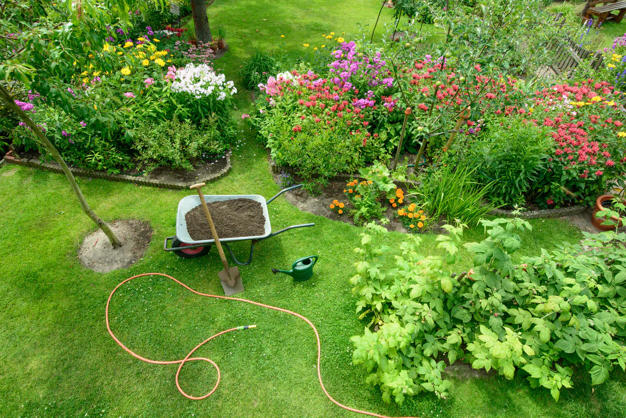 5 Things to Do in Your Garden in May
