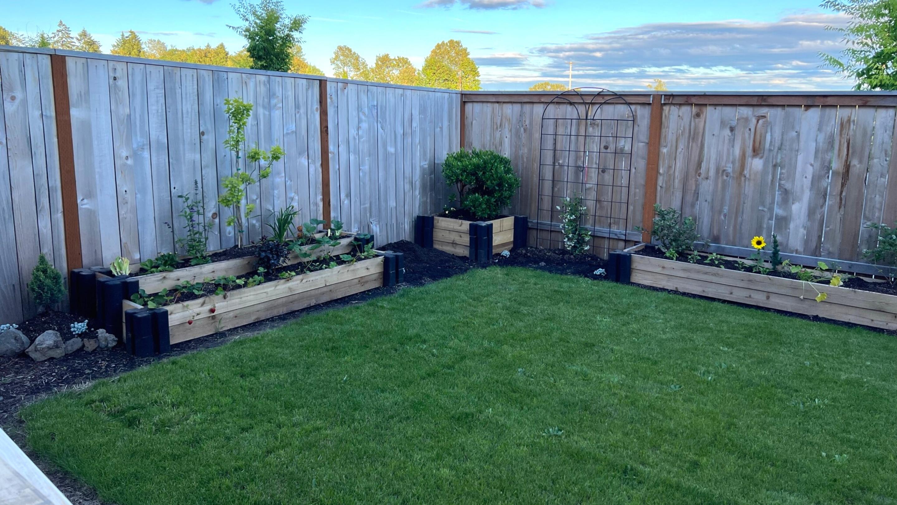 New Year New Dreams Update