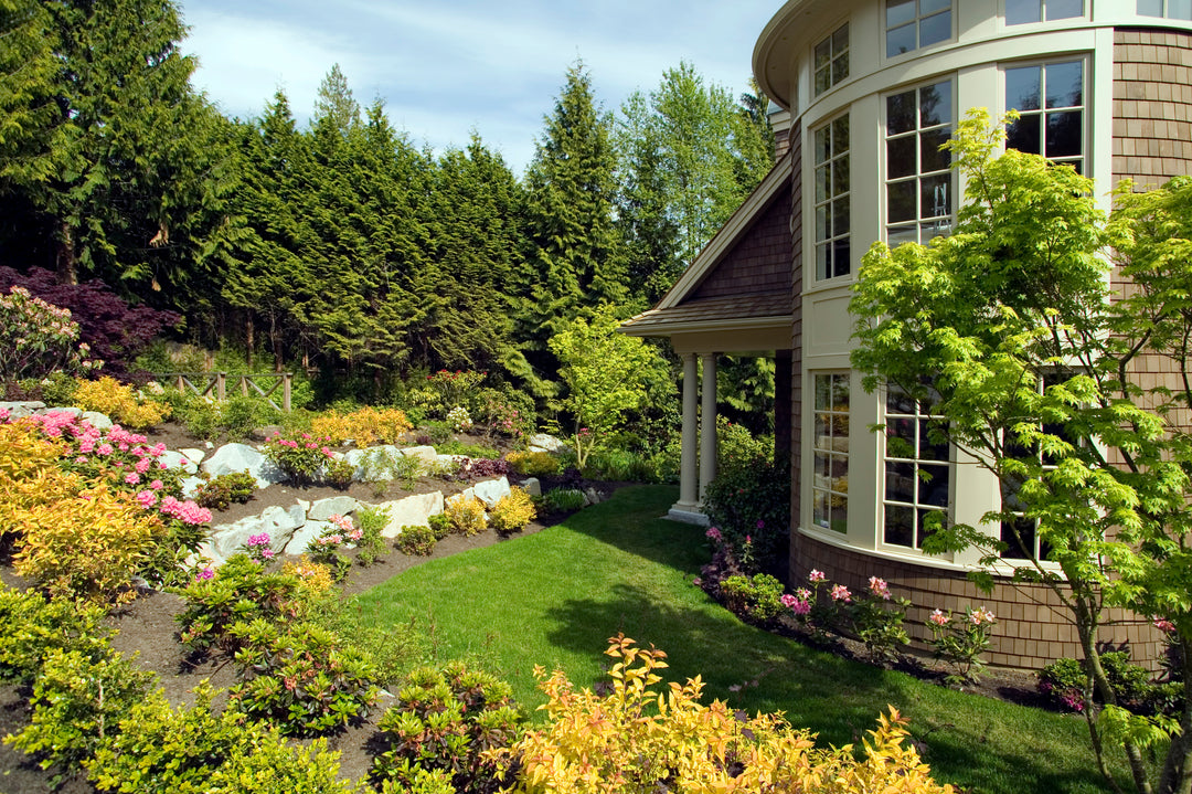 Landscaping Tips for Success