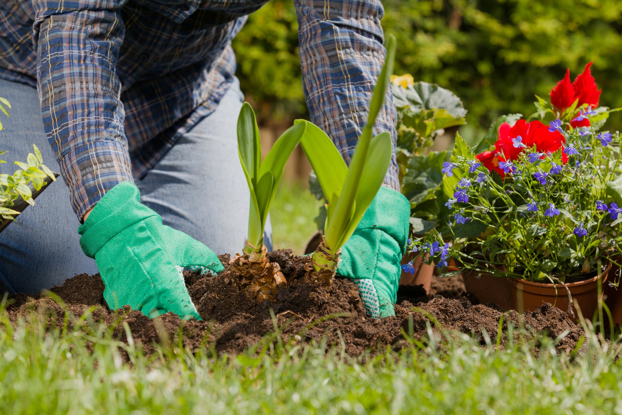 Eight Gardening Tips for April  Al's Garden & Home