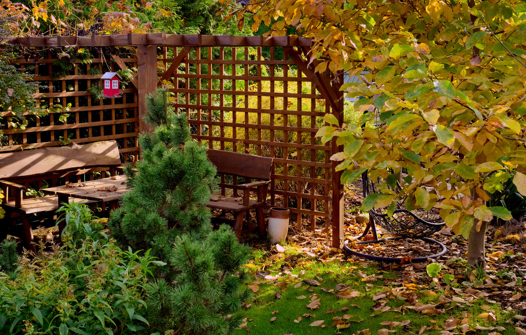 wooden gazebo and garden furniture in the autumn garden