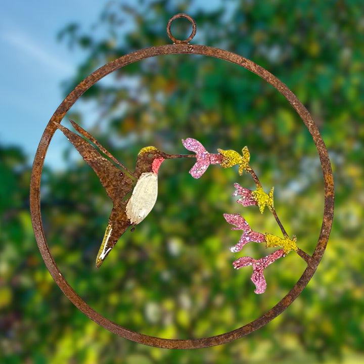 Painted Hummingbird on Salvia Ring
