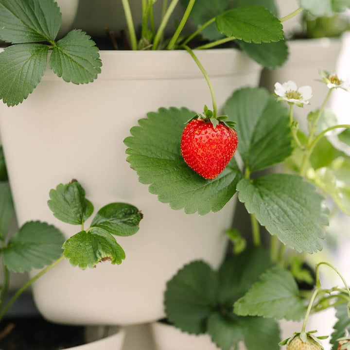 Greenstalk Planter 7-Tier Stunning Stone