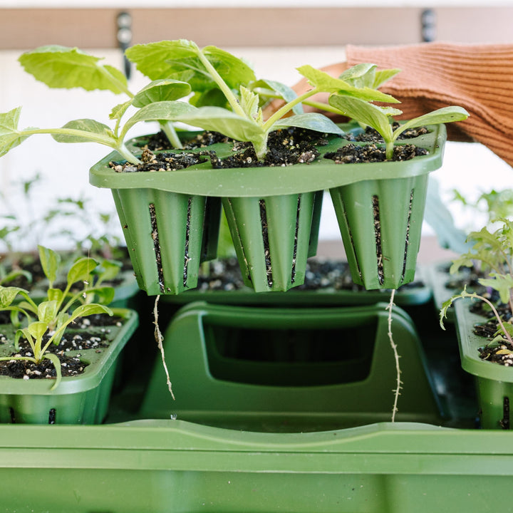 GreenStalk Seed Starting Kit