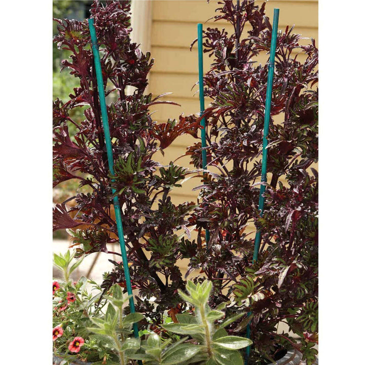 Al's Garden & Home Bond Bamoo Stakes 25 Pack