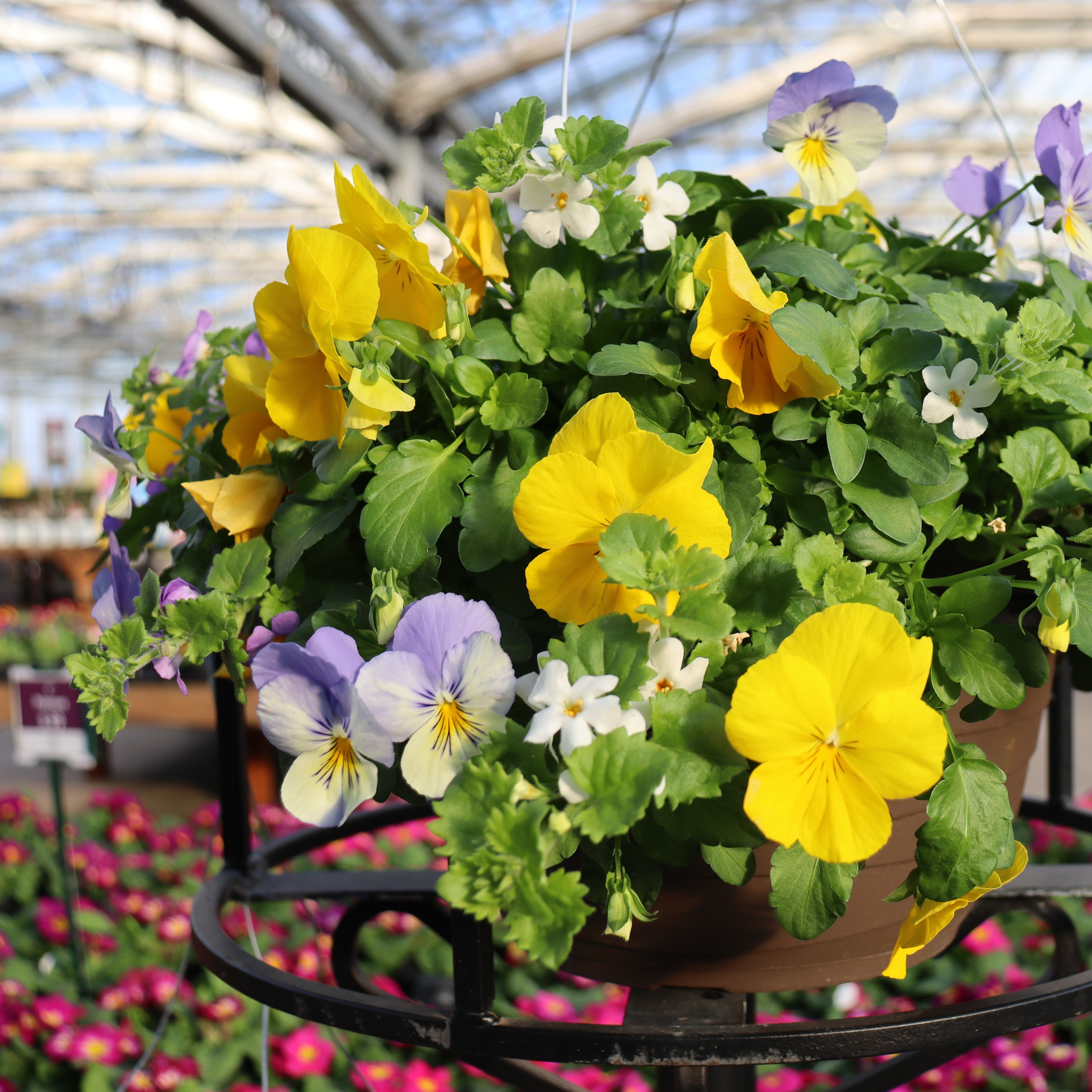 Yellow and Purple Spring Basket