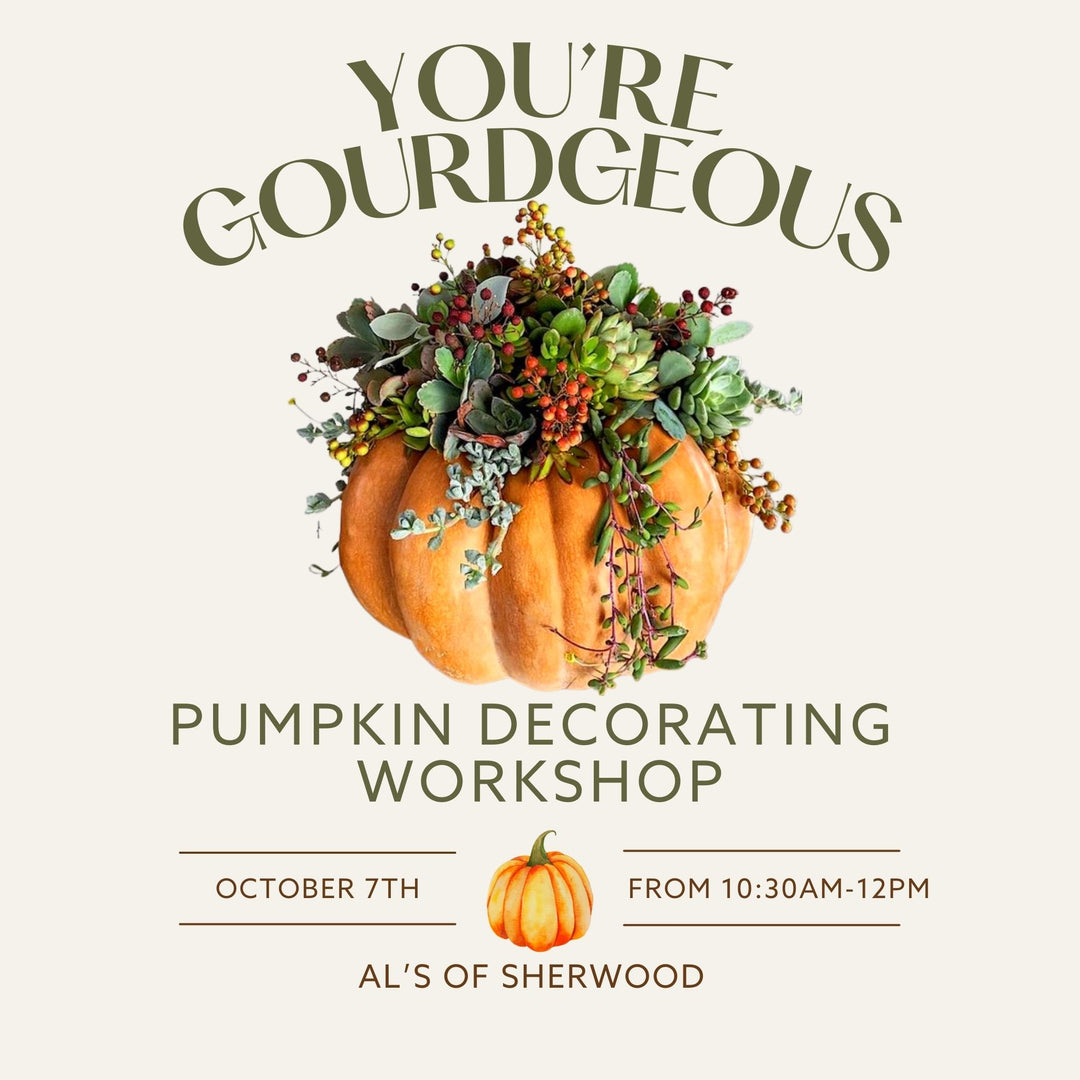 You're Gourdgeous: Pumpkin Decorating Workshop Sherwood