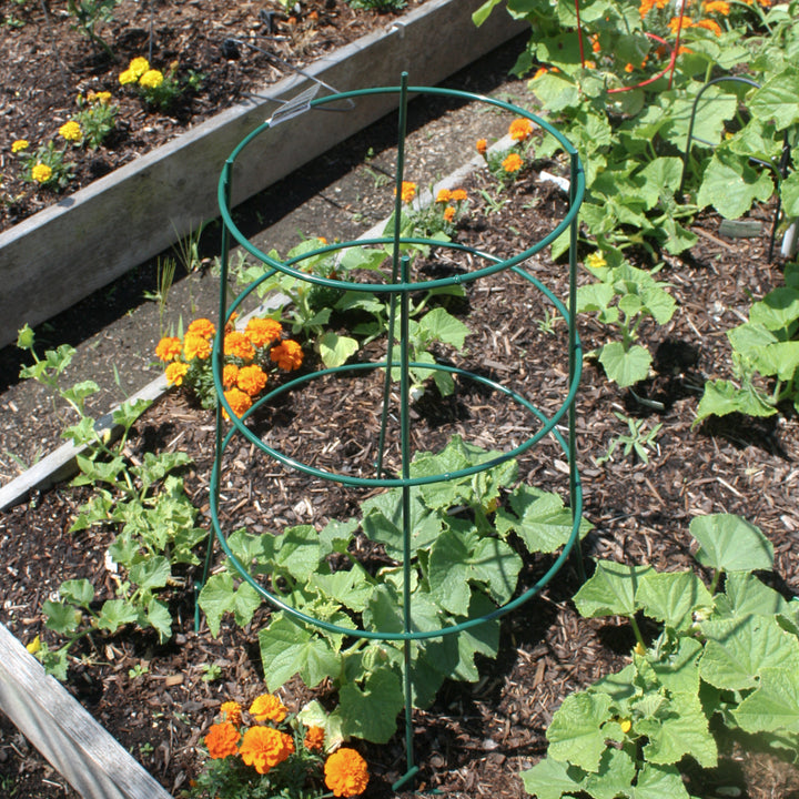 Heavy Duty Plant Cage with Foot Pegs