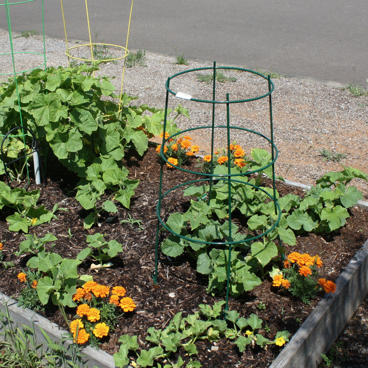 Heavy Duty Plant Cage with Foot Pegs