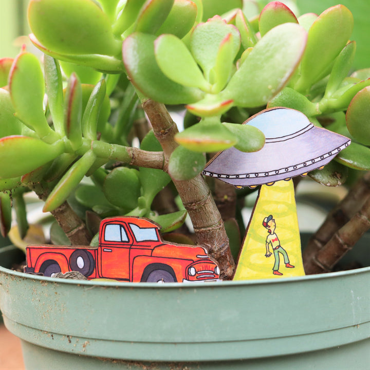 Fancy Plants Houseplant Diorama Kit