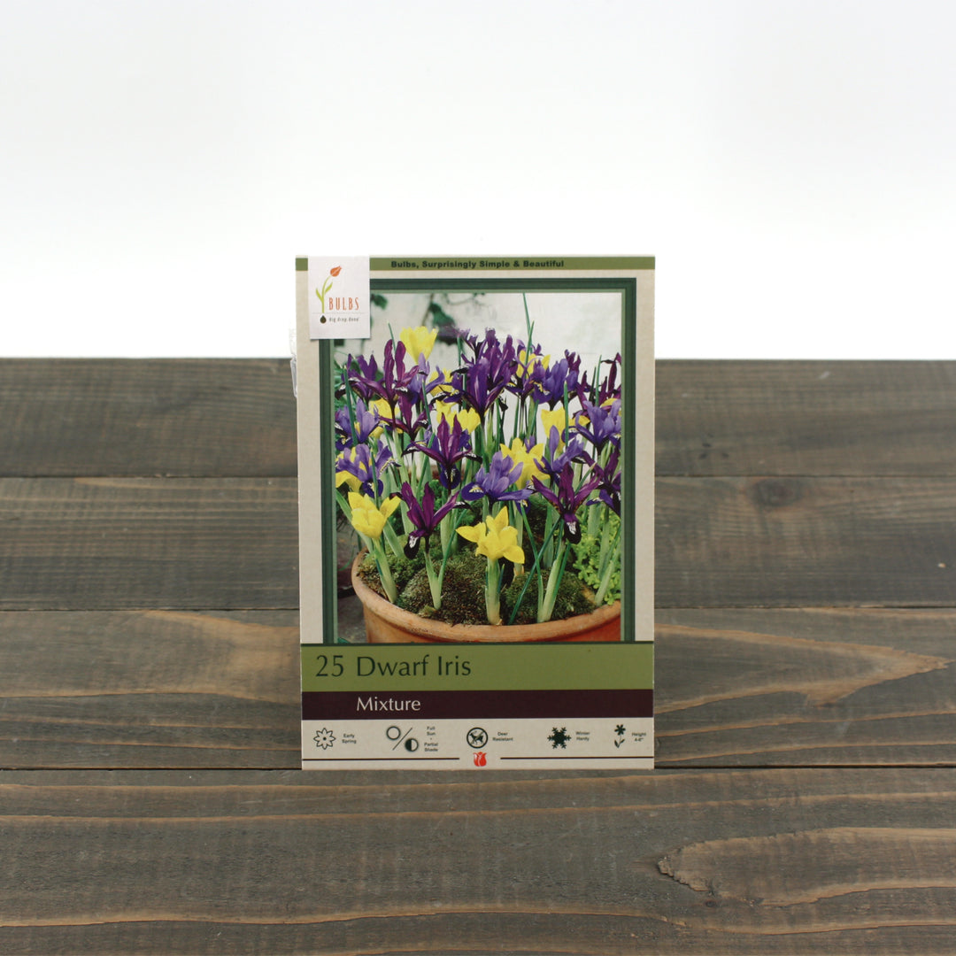 als garden and home iris bulbs