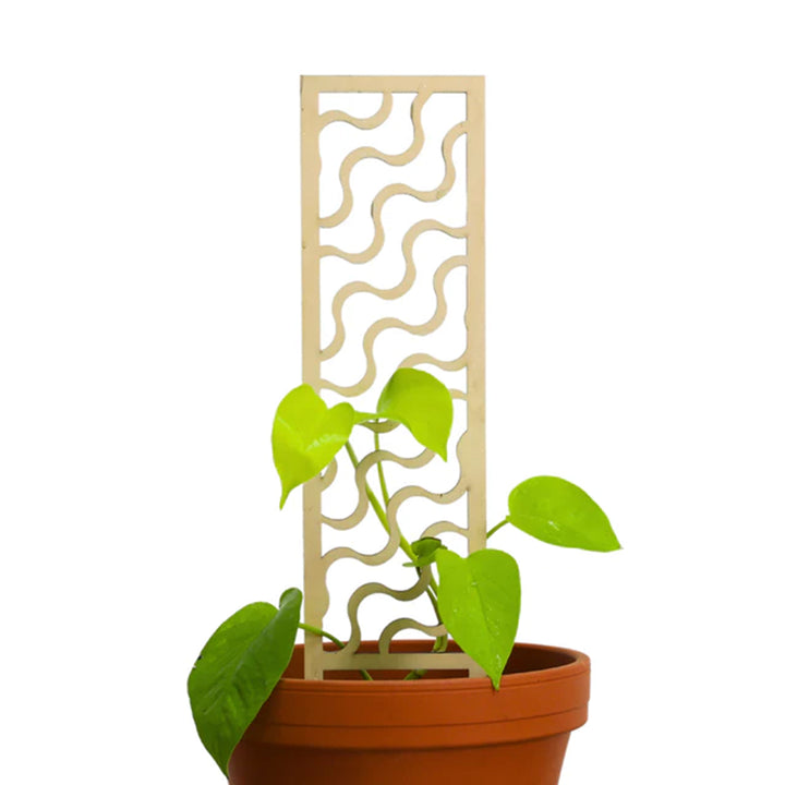 Al's Garden and Home Mossify Trellis