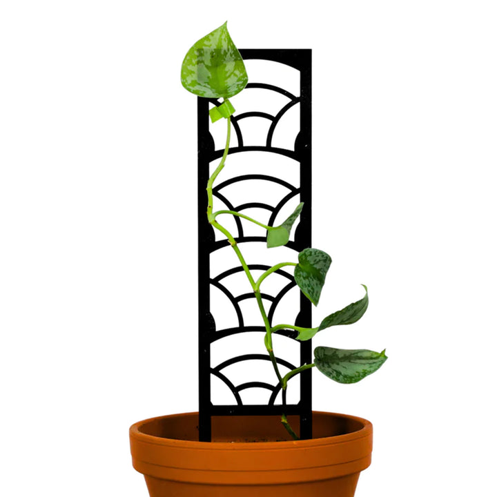 Al's Garden and Home Mossify Trellis