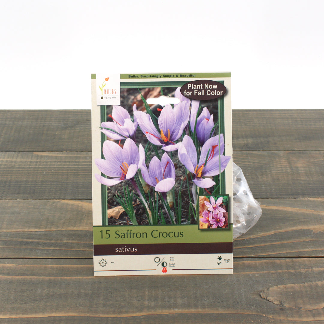 Netherland Bulbs Saffron Crocus (15/Bag)