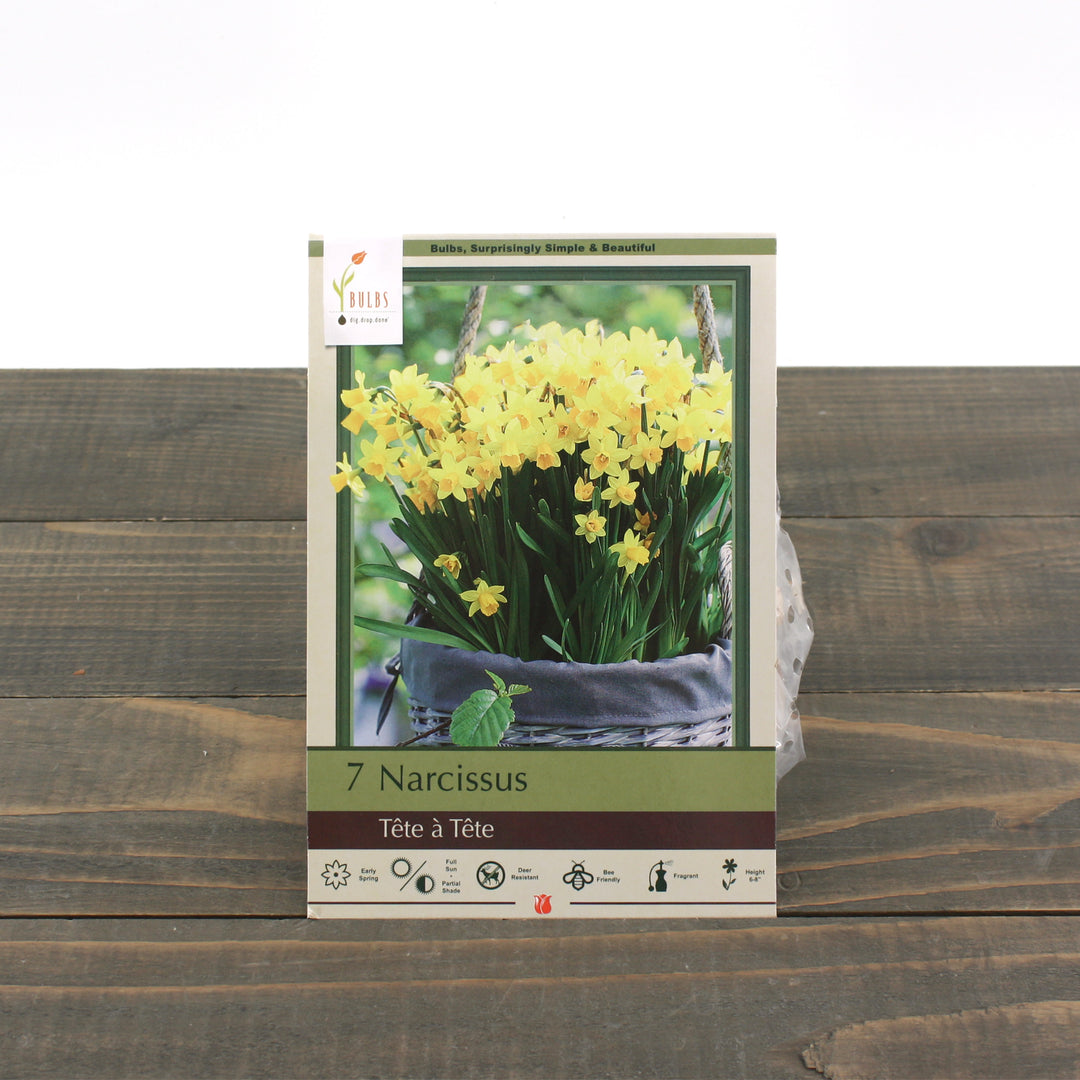 Netherland Bulbs 'Tête à Tête' Narcissus (8/Bag)