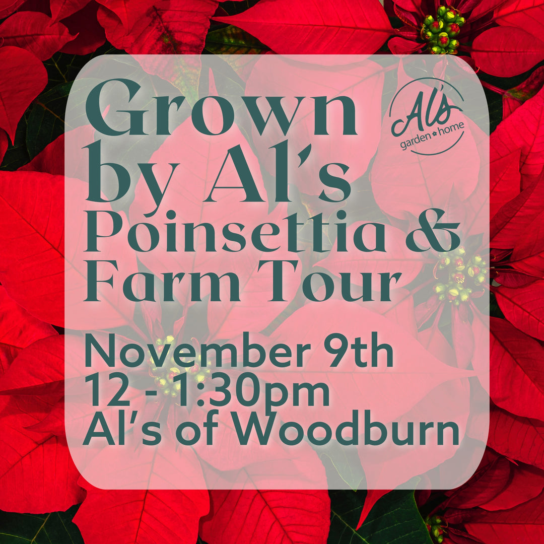Poinsettia & Farm Tour 2025