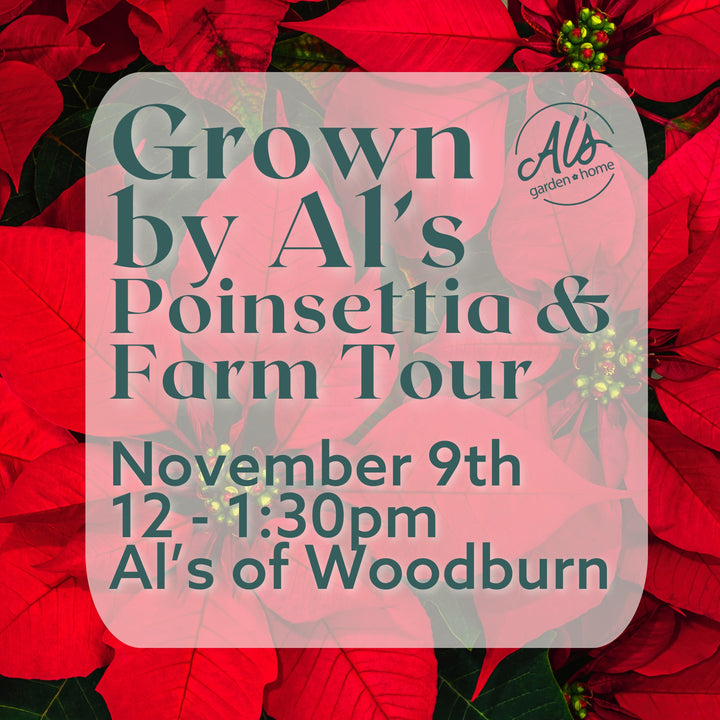 Poinsettia & Farm Tour 2025