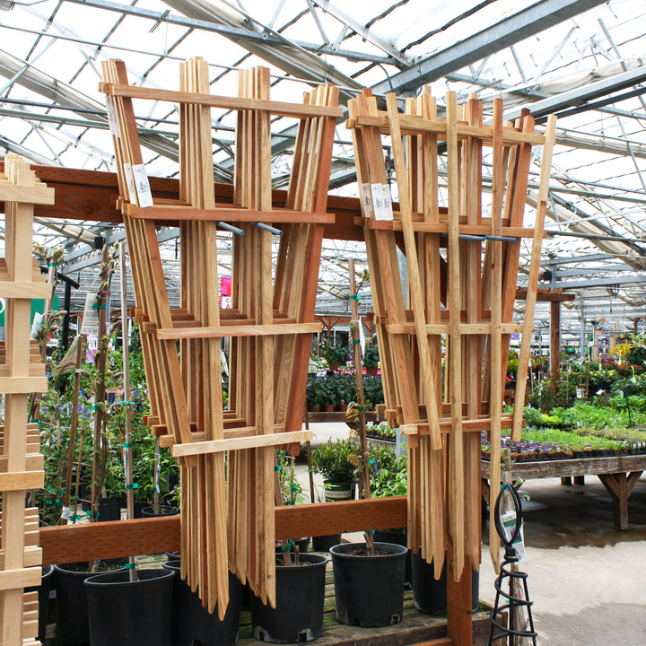 Oregon Trellis Company Fan Wooden Trellis