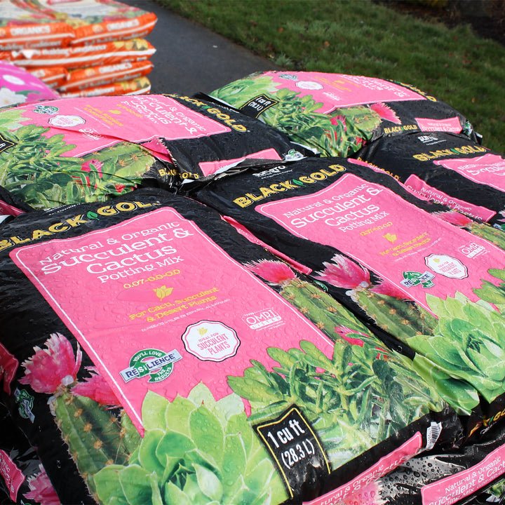 Black Gold Natural & Organic Succulent & Cactus Potting Mix