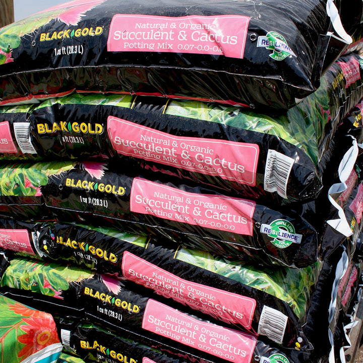 Black Gold Natural & Organic Succulent & Cactus Potting Mix