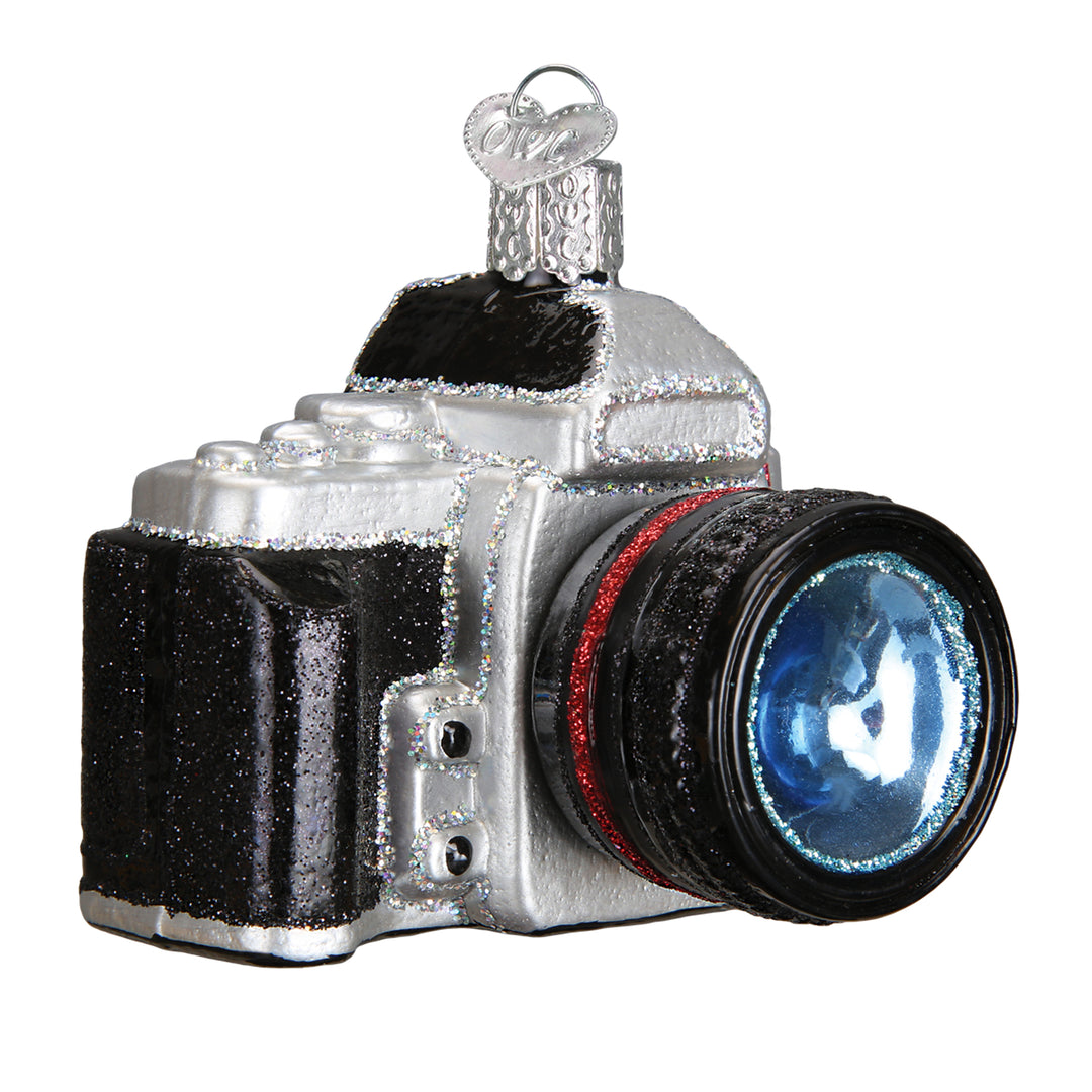 Old World Camera Ornament Al's Garden and Home