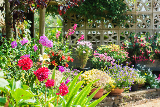 Gardening in January: A Fresh Start to a Flourishing Garden