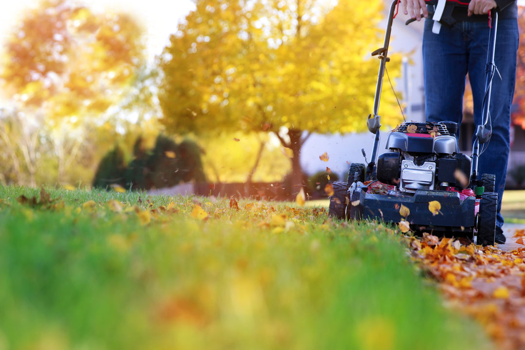 September Lawn Care: How to Keep Your Grass Healthy Through the Fall and Winter