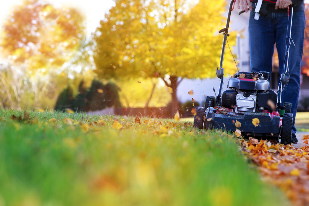 September Lawn Care: How to Keep Your Grass Healthy Through the Fall a ...