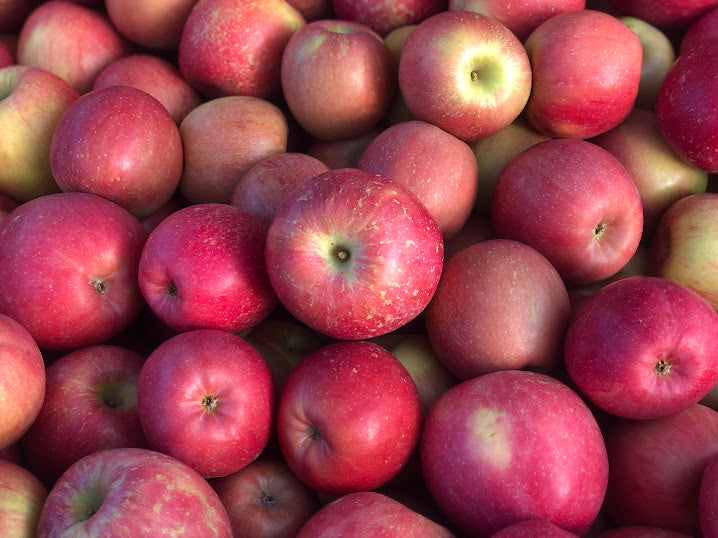 Al's Exclusive Ice Apples