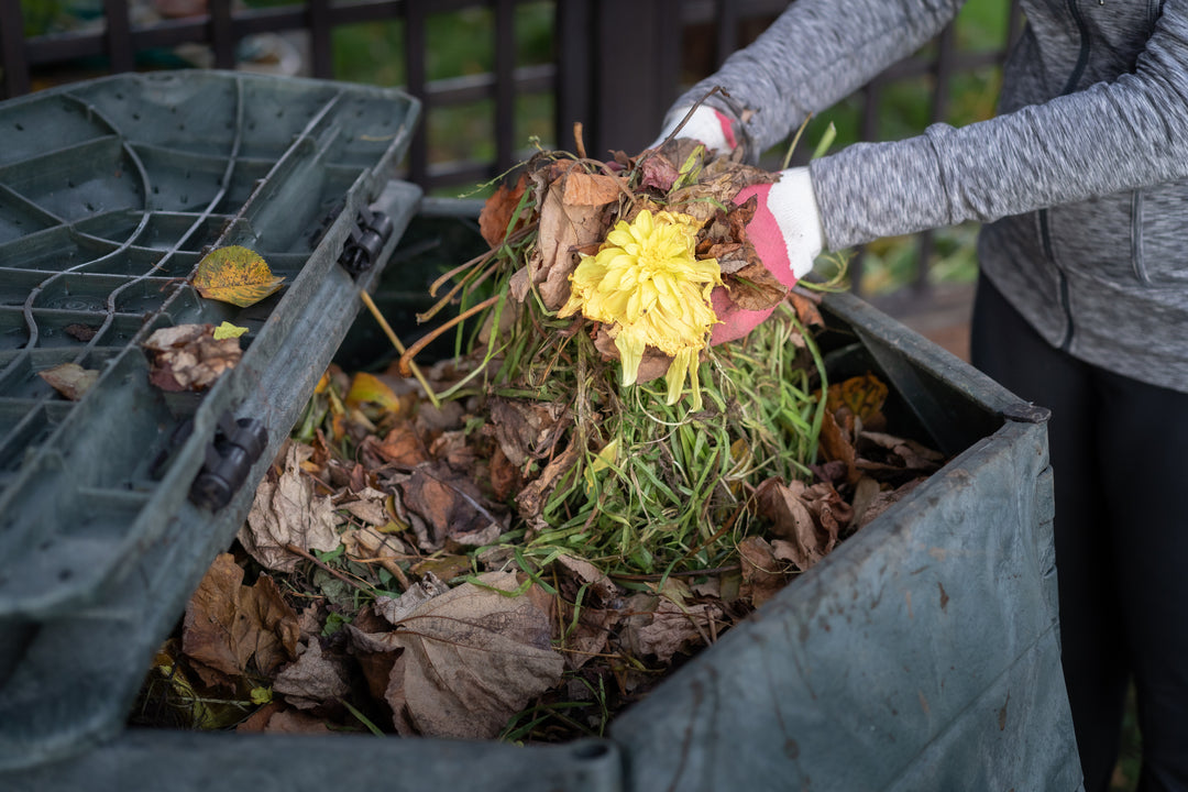 Composting 101: How to Turn October Leaves into Garden Gold