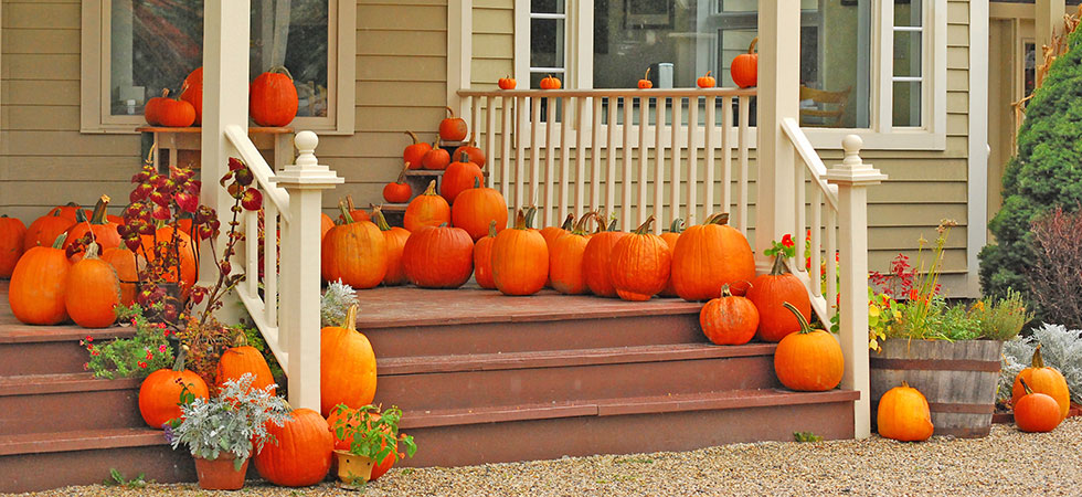 Carving Out Fun With These GOURD-geous Pumpkins!