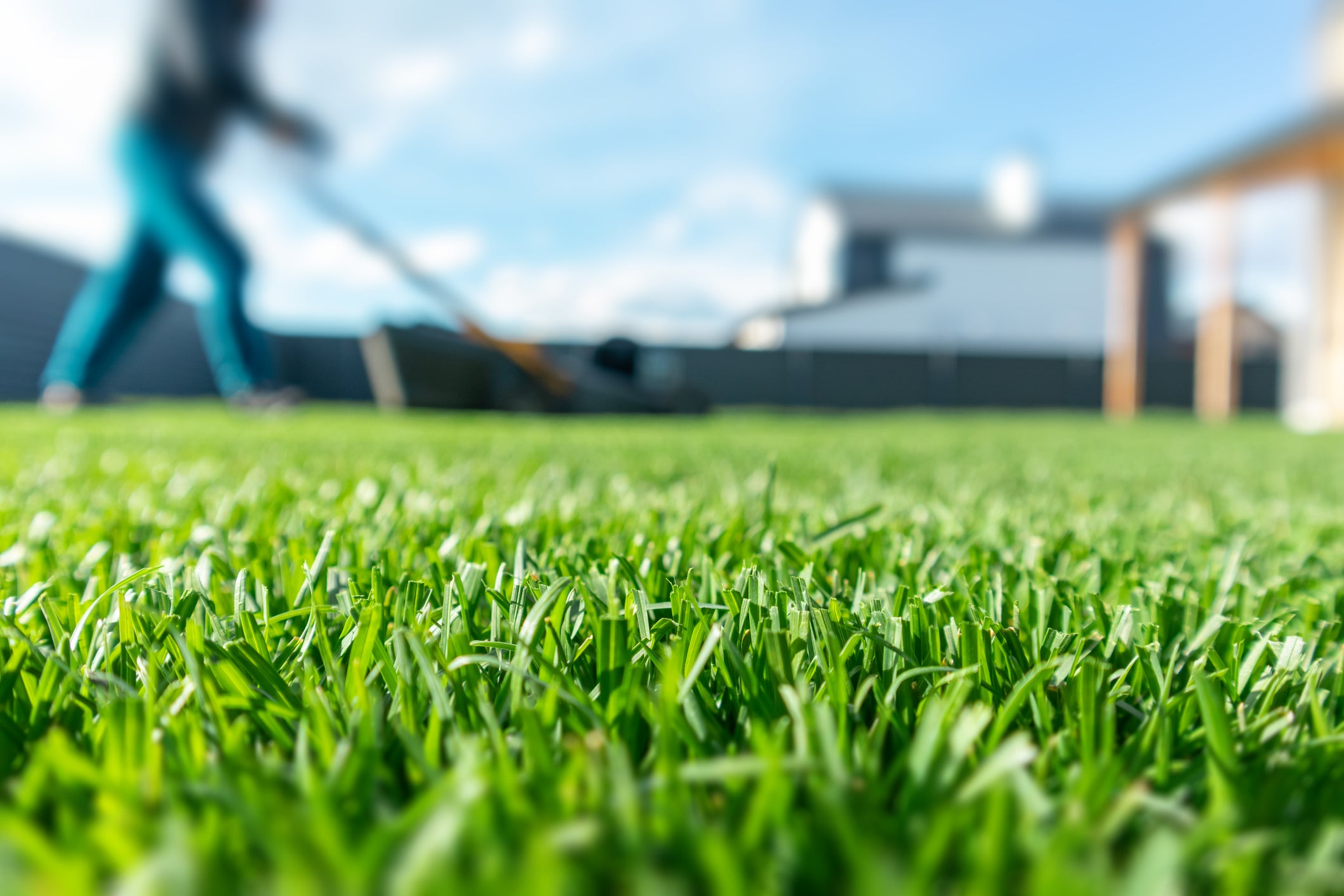 Top 10 Fall Lawn Care Tips