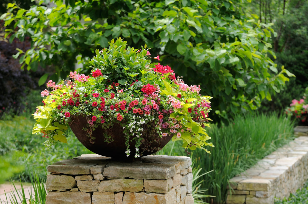 Container Garden
