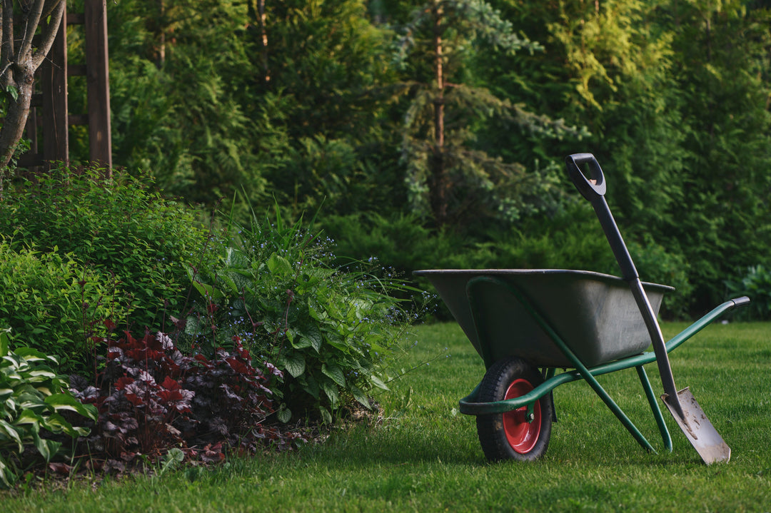 Prepare Your Garden for Fall: What to Do Now