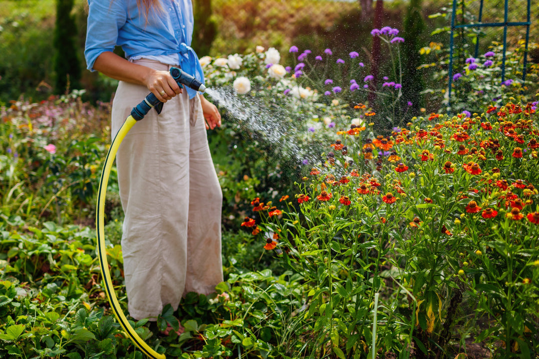 Beat the Heat: Watering Tips That Actually Work
