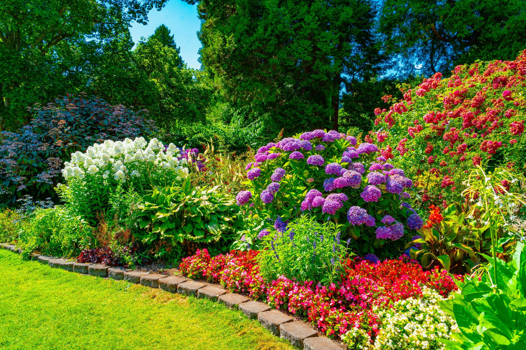 Common Summer Garden Problems in the Pacific Northwest (And How to Fix Them)
