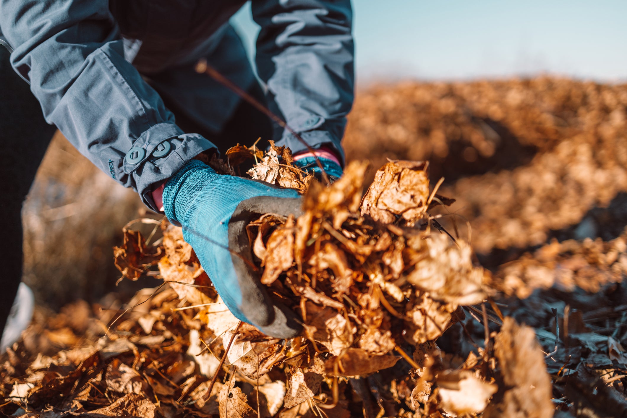Fall Composting Fall Composting: Turning Garden Waste into Nutrient-Rich Soil – Al's ...