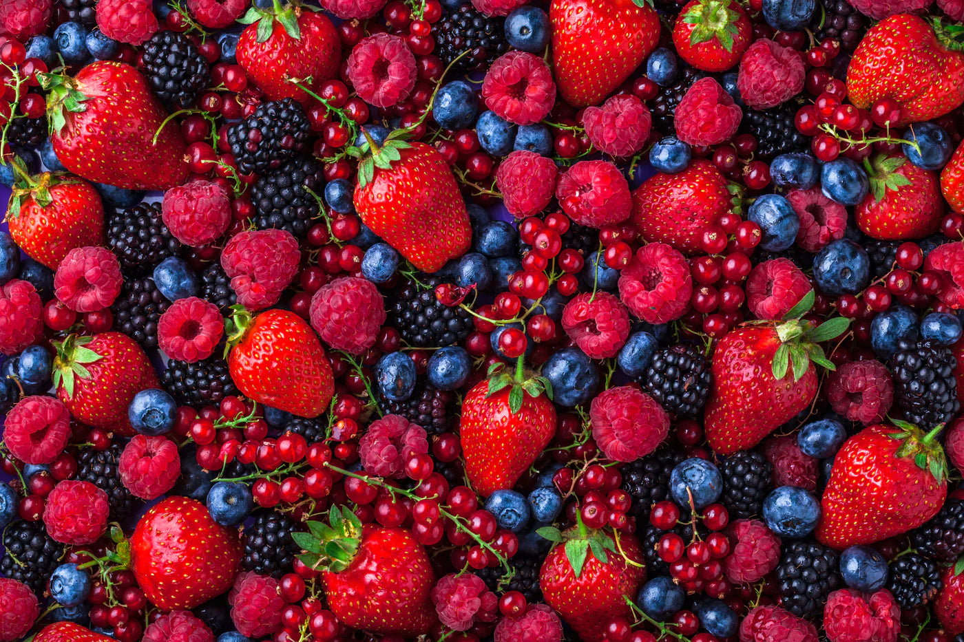Bountiful Berry Summer Harvest