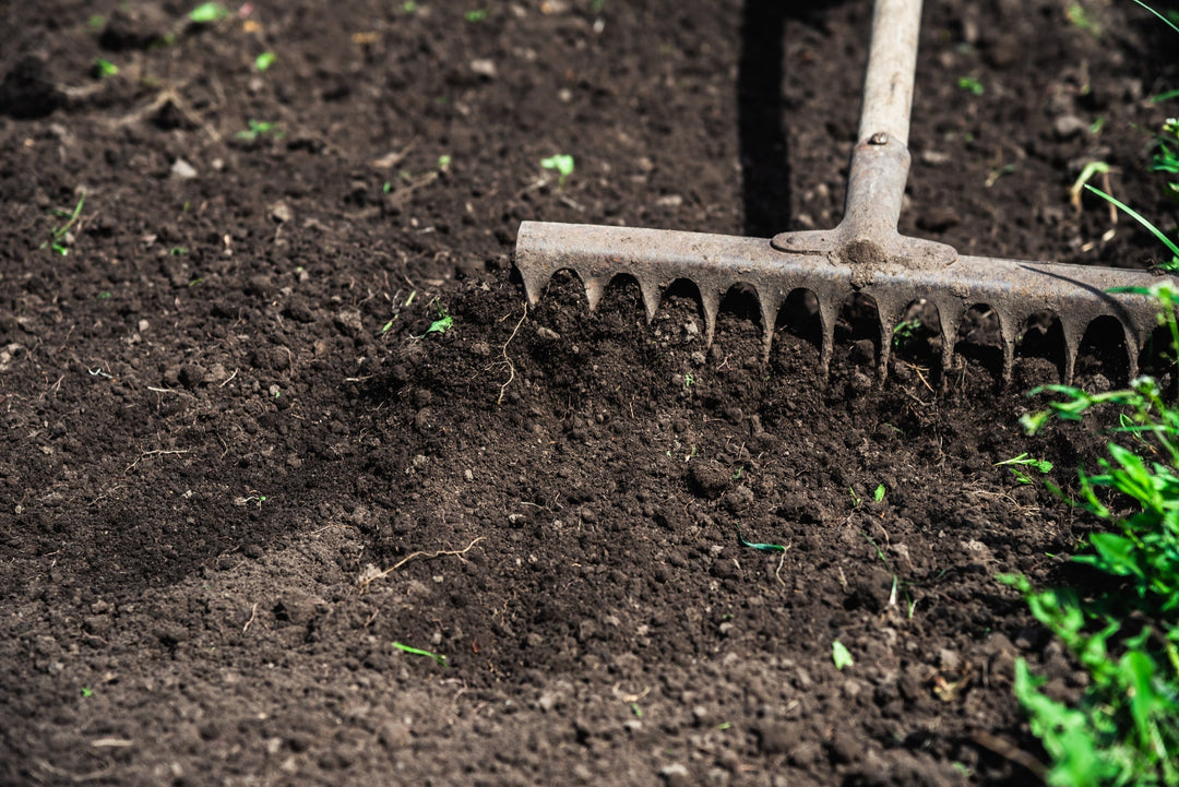 Soil Preparation for the Upcoming Growing Season