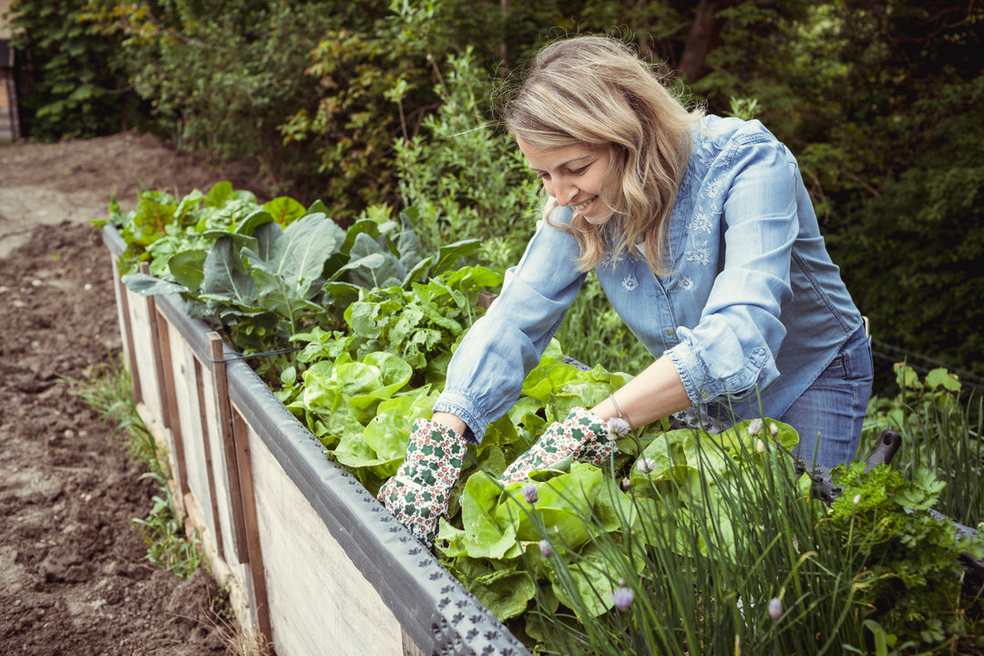 woman vegetable gardening