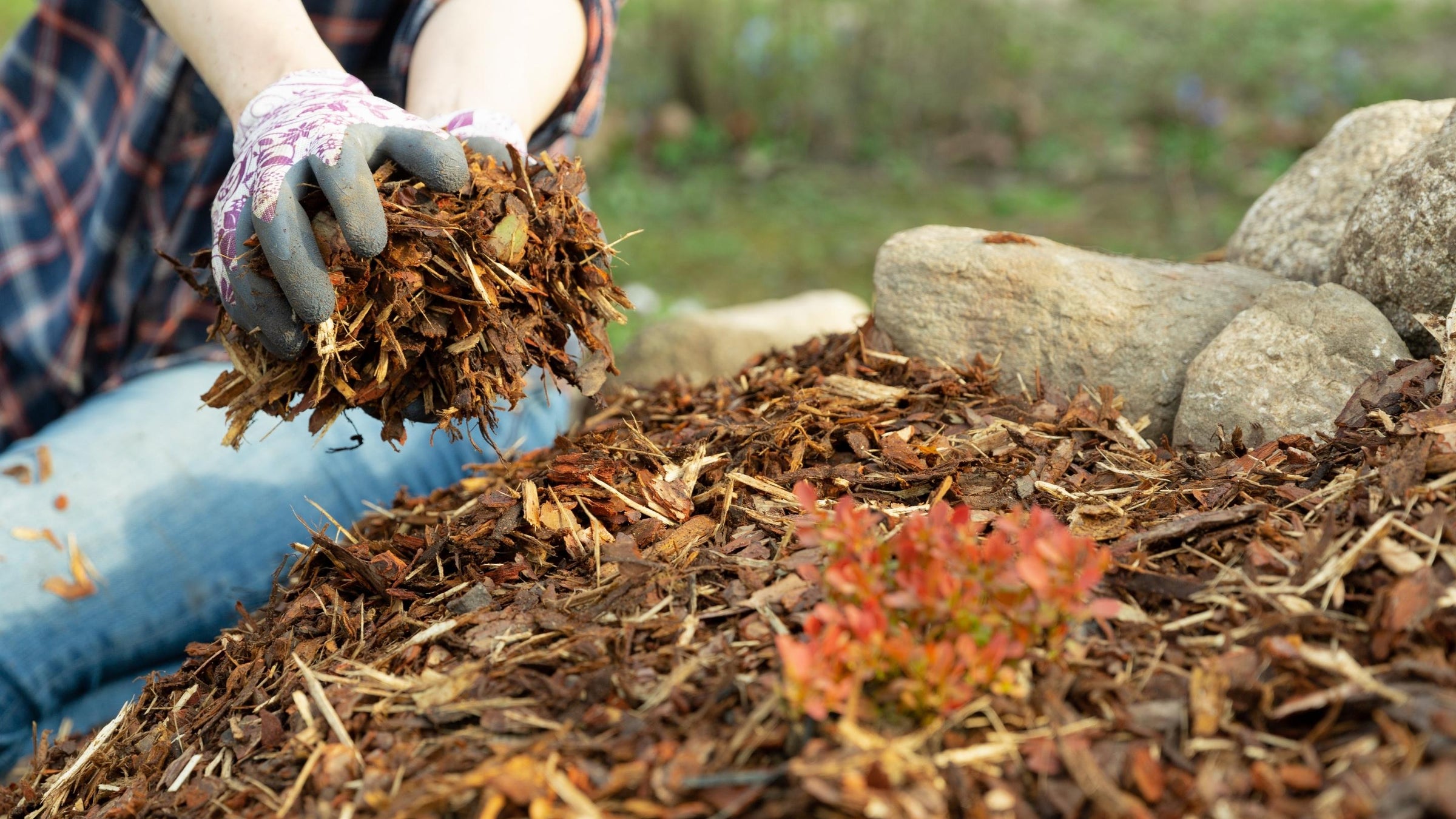 Soil & Amendments