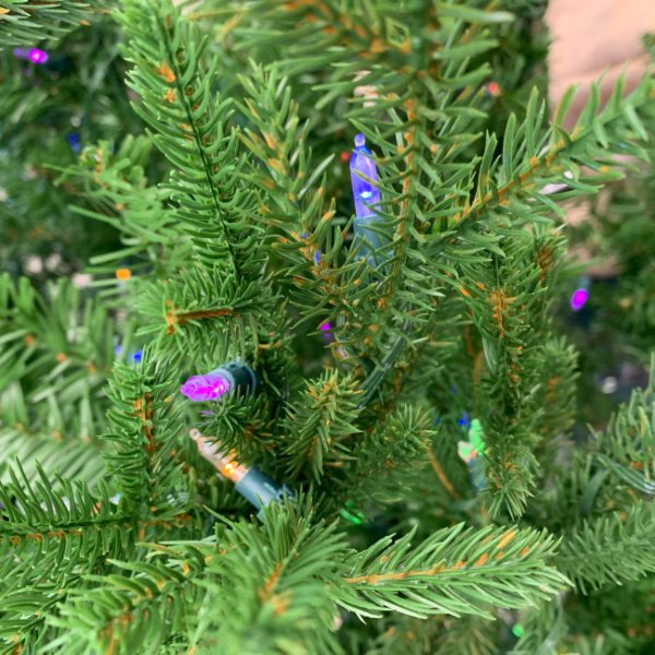 Christmas Tree with Lights