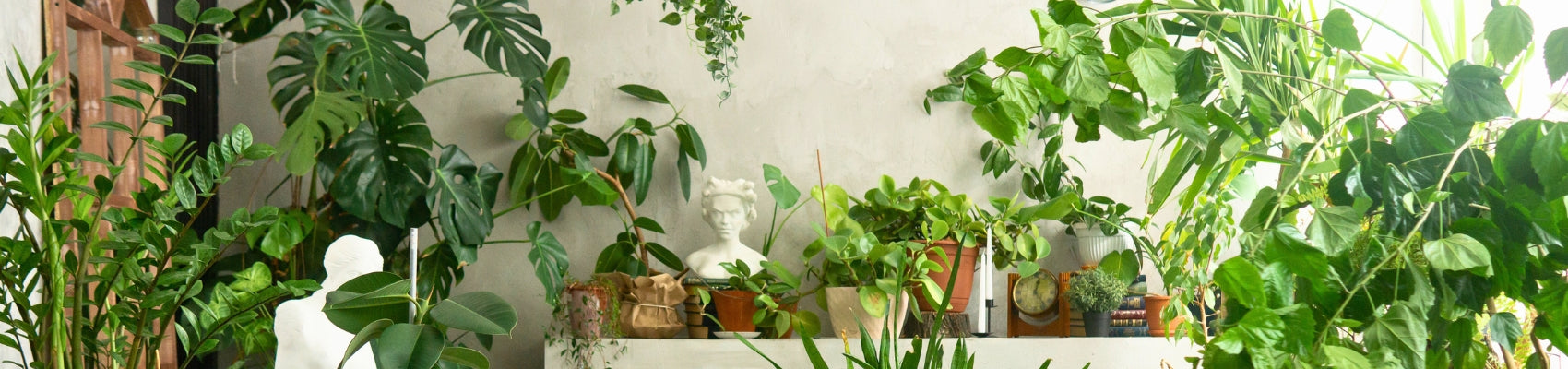 Lush Oasis
