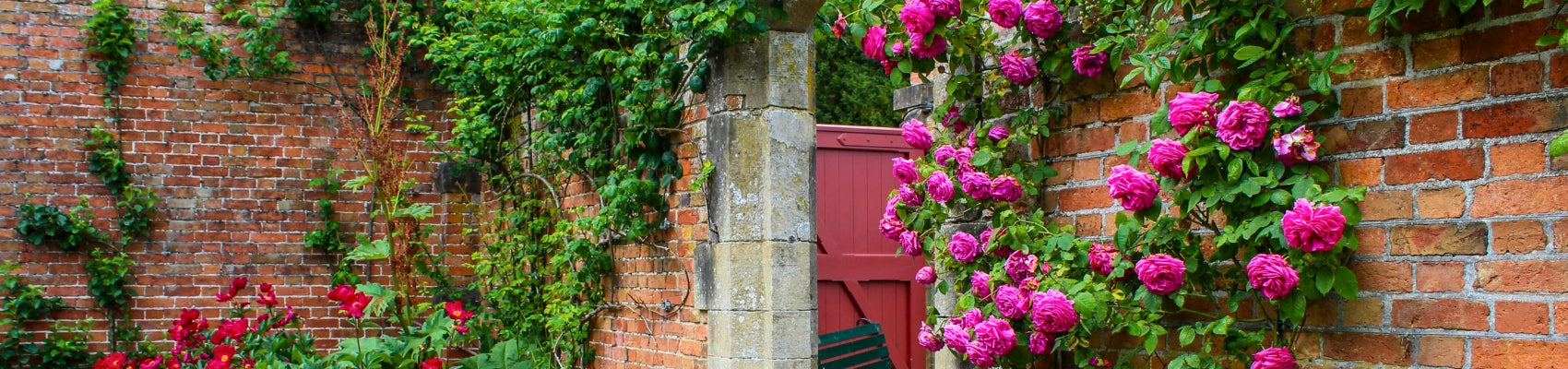 Secret Garden
