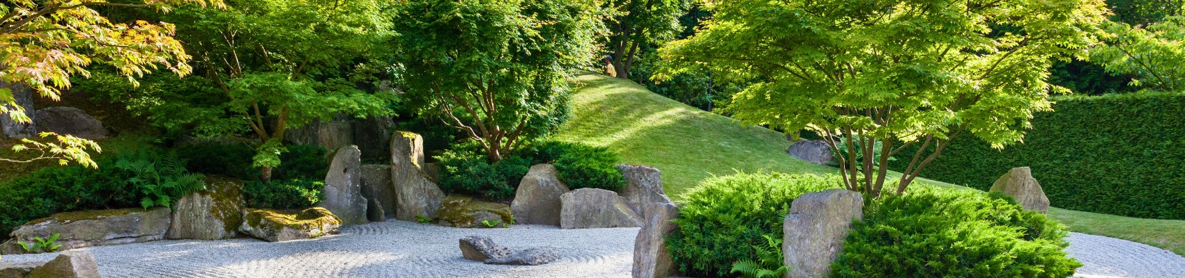 Zen-Scape
