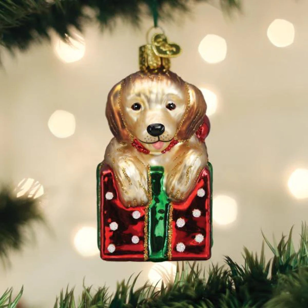 Golden Puppy Surprise Old World Ornament
