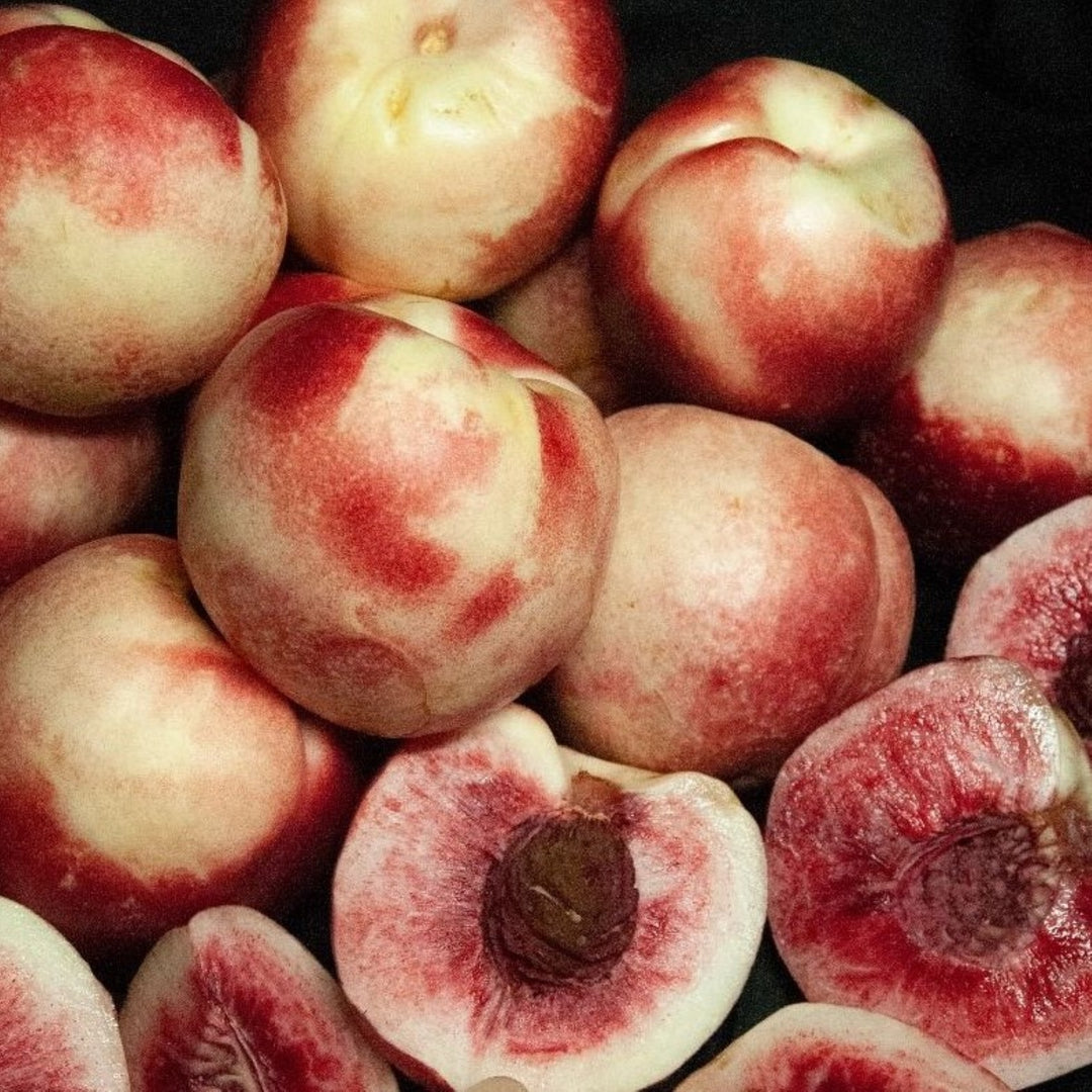 Prunus persica var. nucipersica 'Arctic Sprite' Miniature Nectarine, 7 Gallon Tree