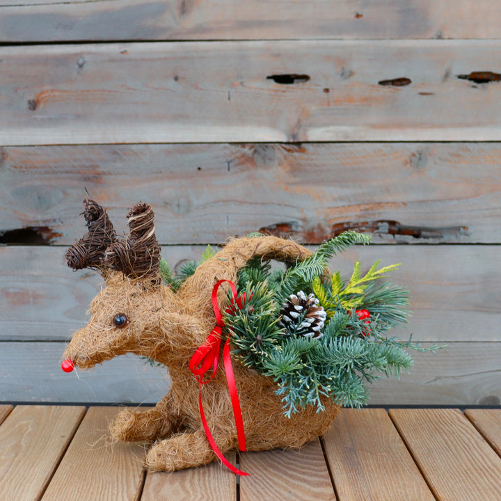 Reindeer Basket Mixed Greens