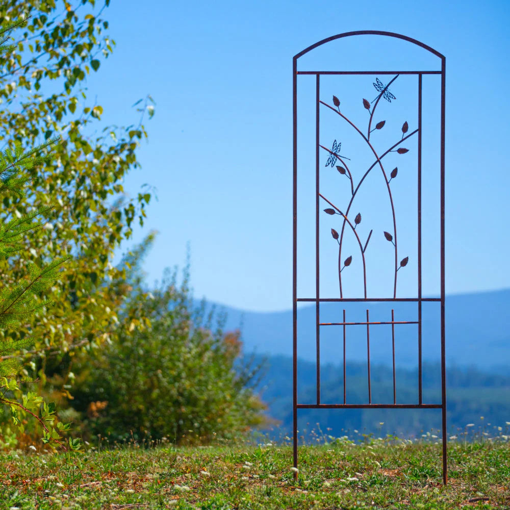 Iron Trellis